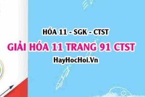 Giải Hóa 11 trang 91 SGK Chân trời sáng tạo